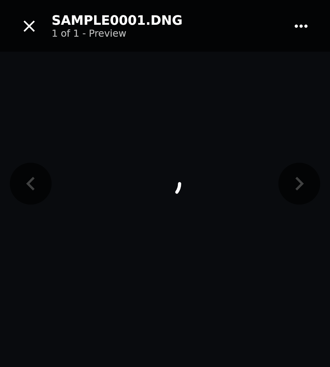 Photos RAW preview: Loading embedded preview